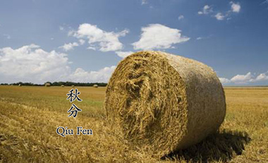 The 24 solar terms: Qiu Fen