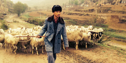 Rural literature should reflect social change