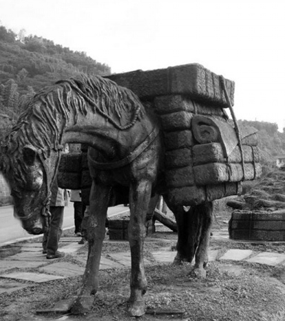 Tea and Horse Trail offers journey back in time