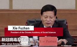 Solidarity and cooperation are the only way for us to prevail over the pandemic