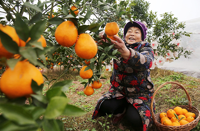 China still faces tough task of relative poverty alleviation