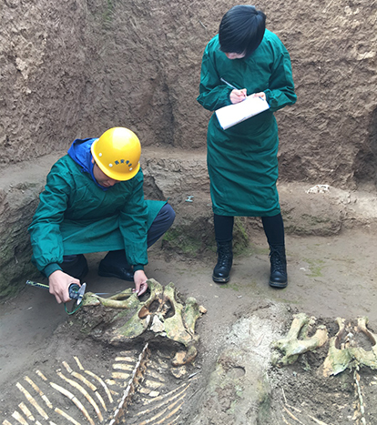 Major Chinese zooarchaeological findings of 2021