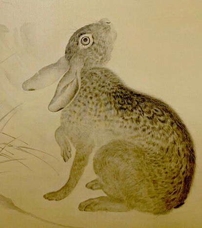 Chinese archaeological and cultural interpretation of rabbit