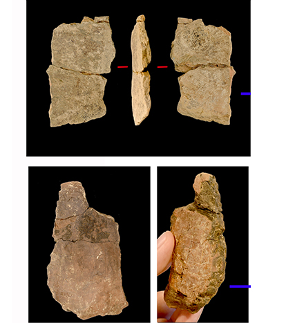 Zhaojia Xuyao site provides evidence of Paleolithic-Neolithic transition