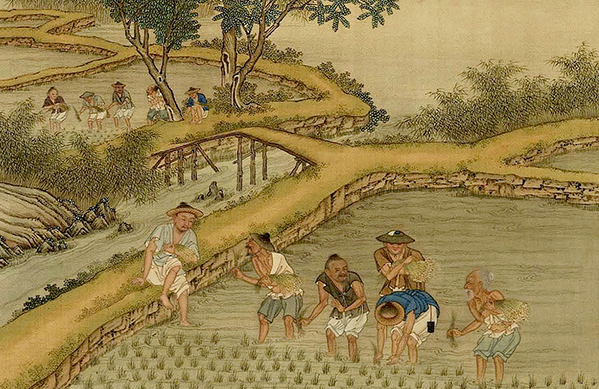 History of diet provides insight into Chinese agricultural civilization
