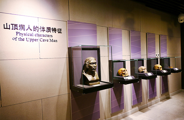 Biological anthropology aids in Chinese civilization studies