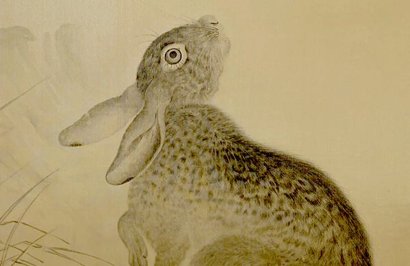 Chinese archaeological and cultural interpretation of rabbit